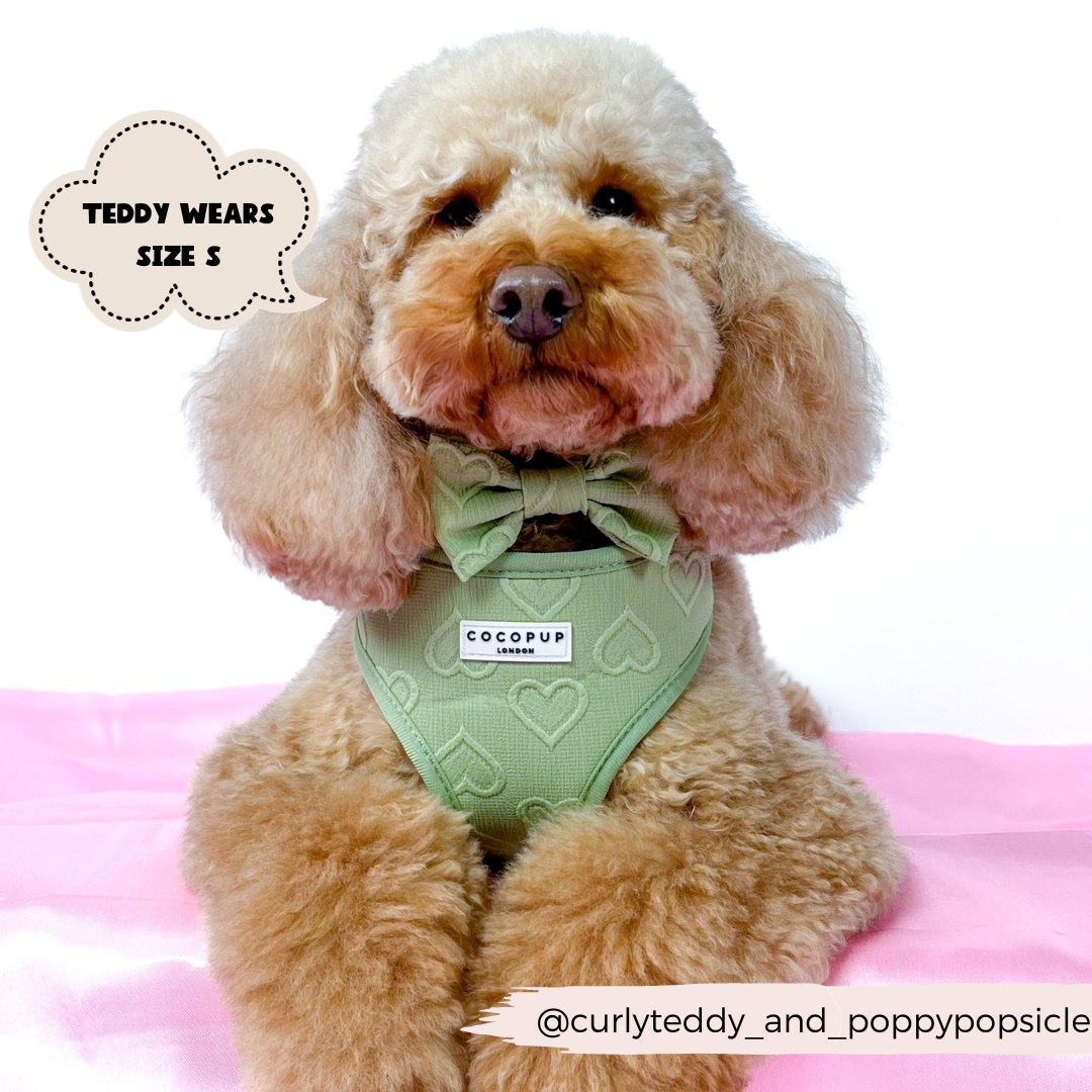 Cocopup London - Luxe Adjustable Neck Harness - Sage Heart