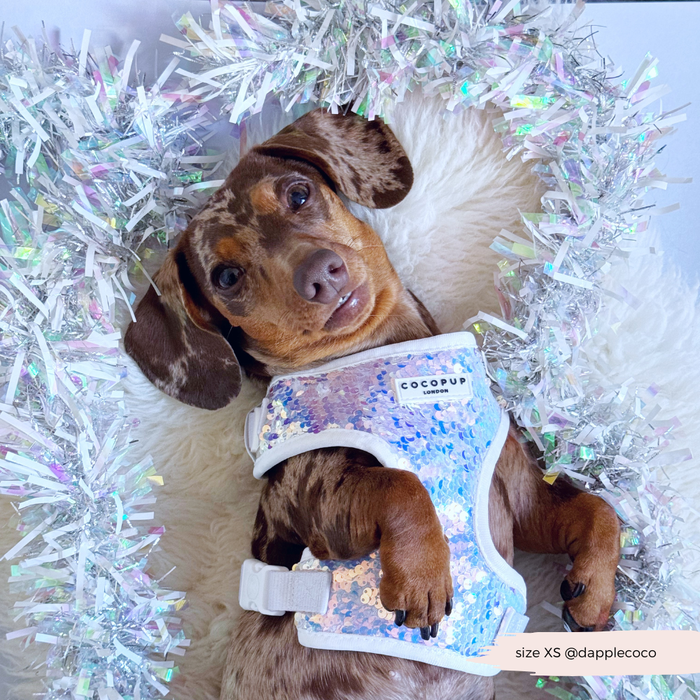 Cocopup London - LUXE Party Holographic Sequin HARNESS