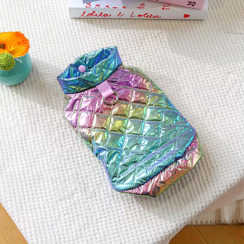 Iridescent Winter Coat