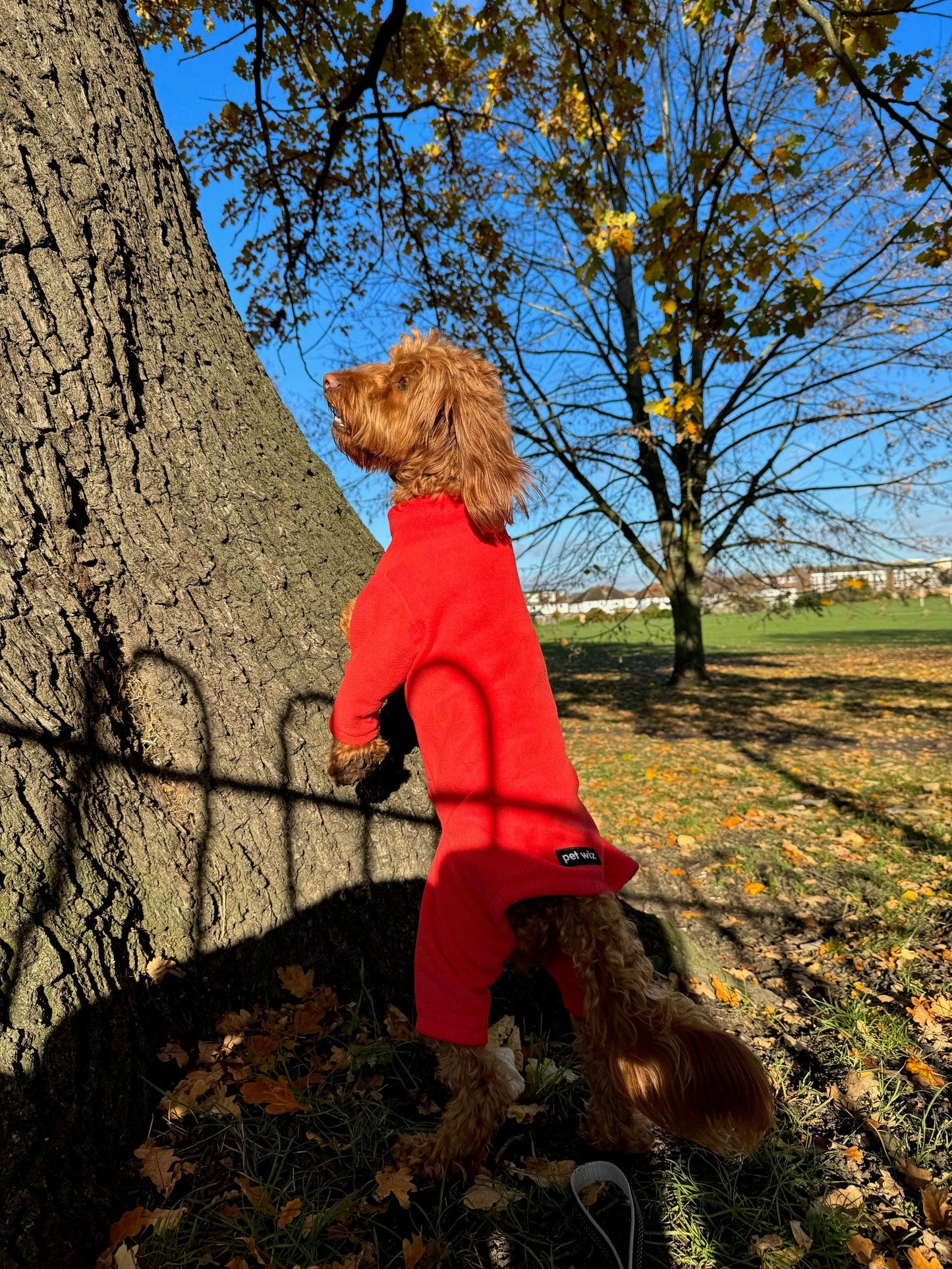 Pet Wiz - Four Legged Dog Fleeces - Wide Range of Sizes & Colours