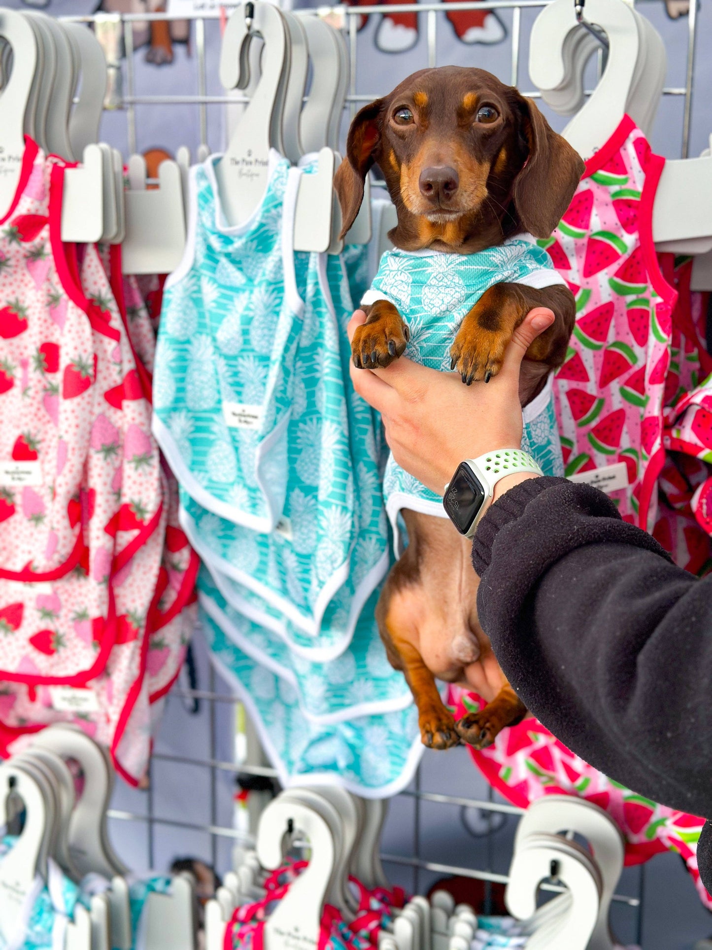 The Paw Print Boutique - The Pineapple Pawty Cooling Vest