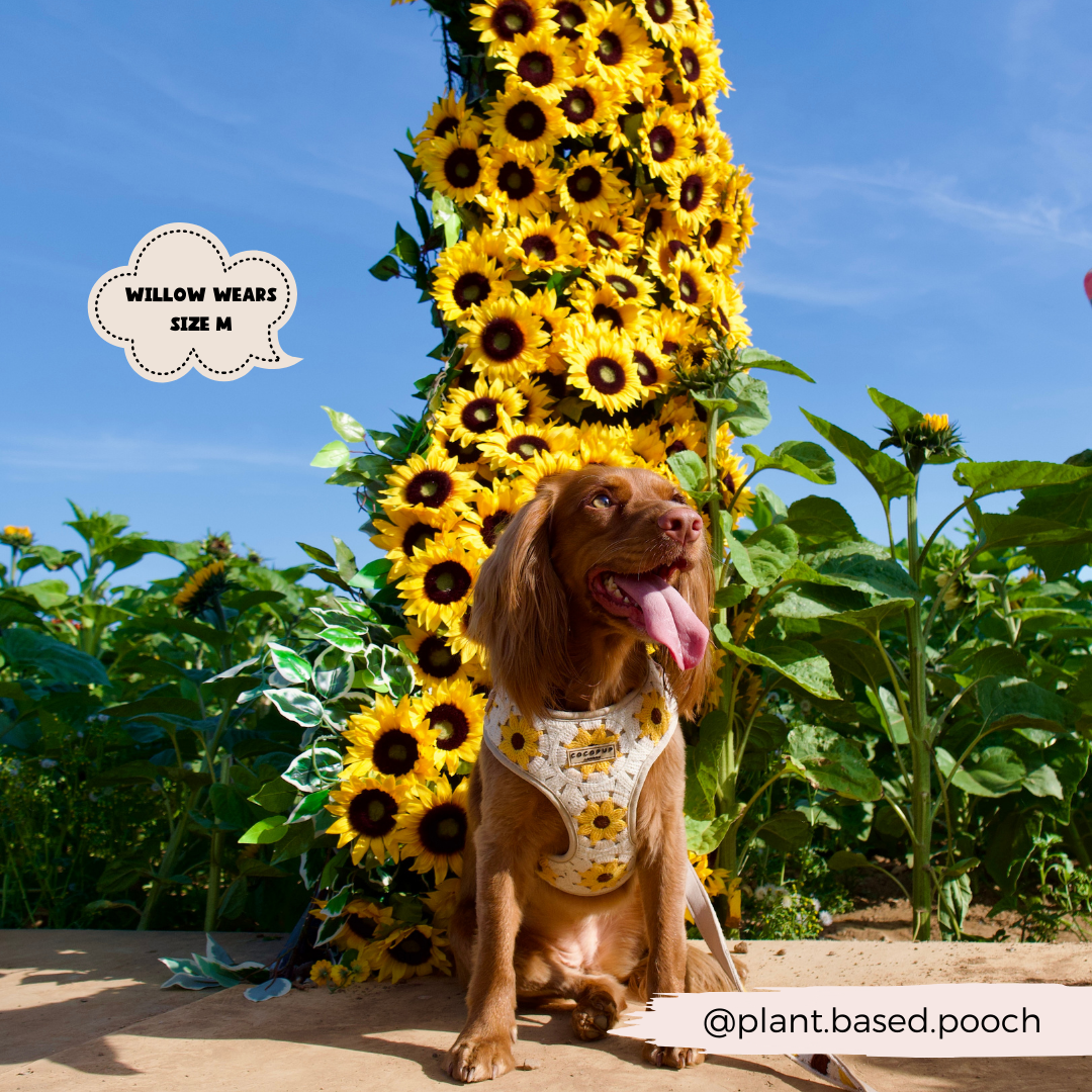 Cocopup London - Sunflower Patch Adjustable Neck Harness