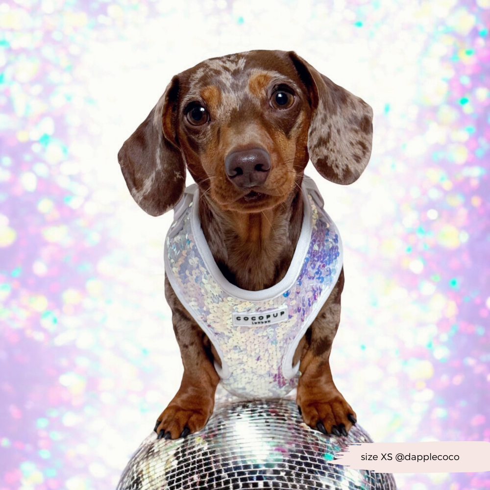 Cocopup London - LUXE Party Holographic Sequin HARNESS