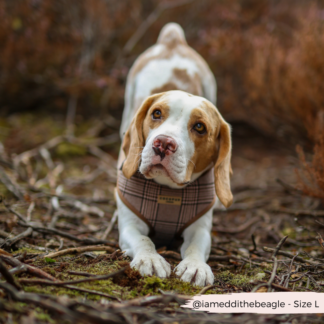 Cocopup London - Pup Plaid Adjustable Neck Harness
