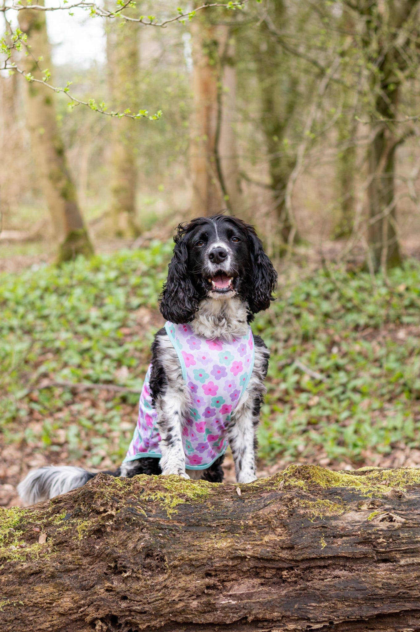 The Paw Print Boutique - The Minty Meadows / Flower Power Cooling Vest