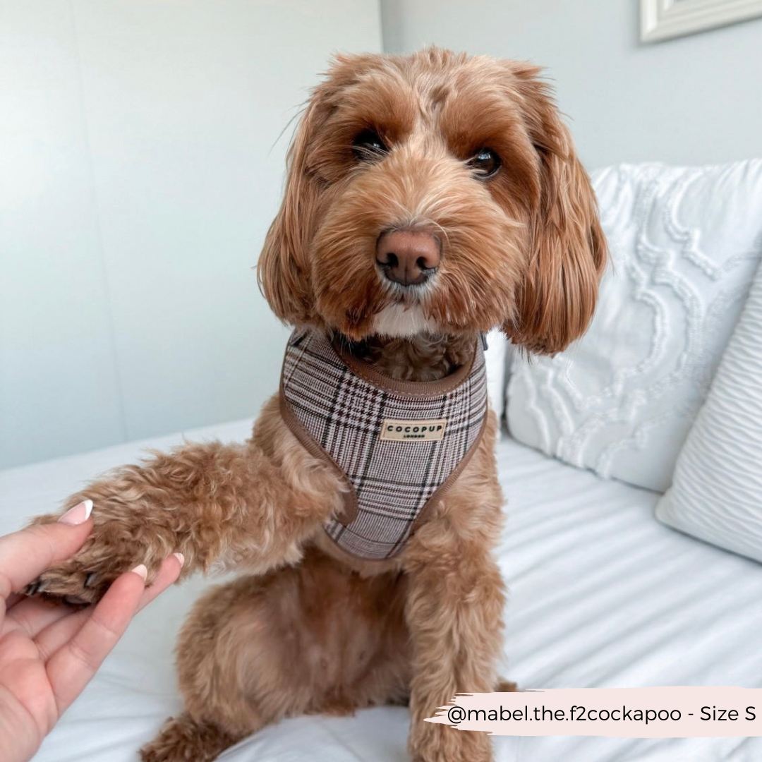 Cocopup London - Pup Plaid Adjustable Neck Harness