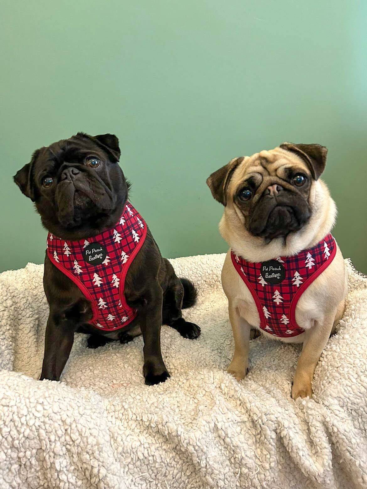 Pet Pooch Boutique - Winter Wonderland Plaid Christmas Puppy Dog Harness - XS - L