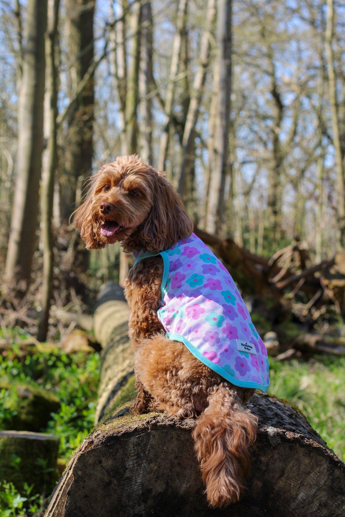 The Paw Print Boutique - The Minty Meadows / Flower Power Cooling Vest