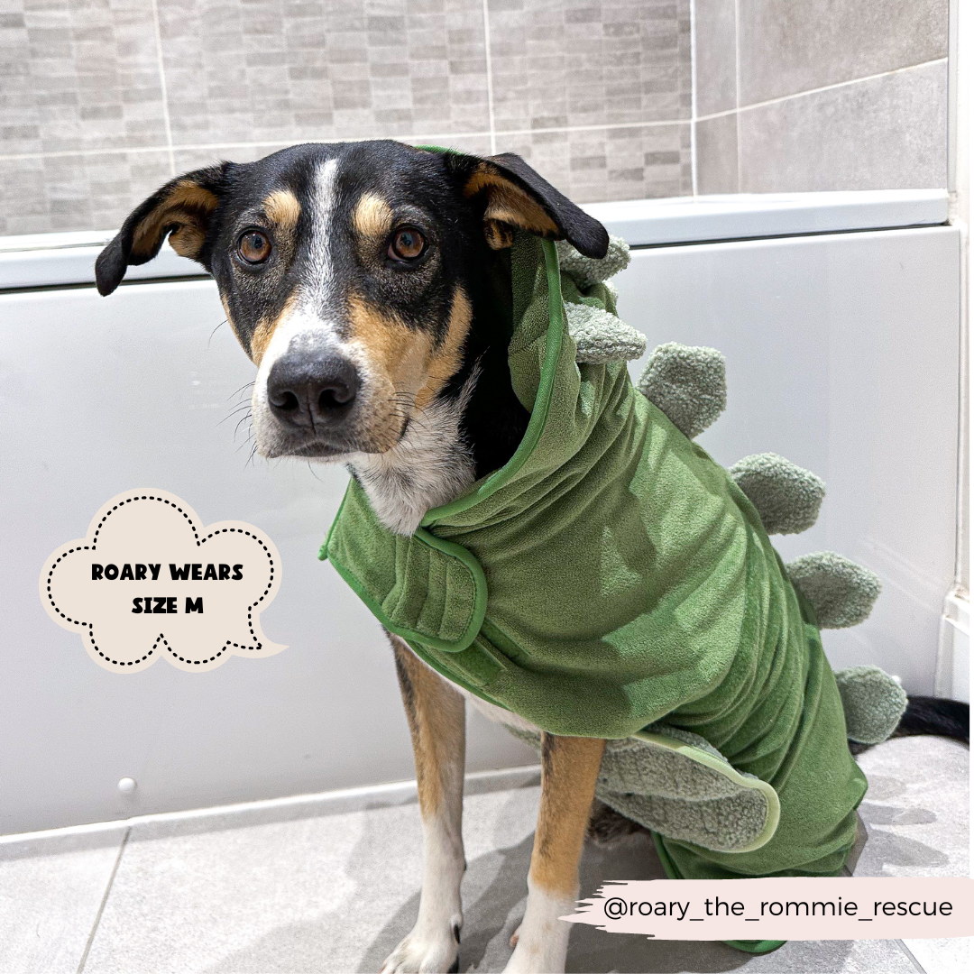 Cocopup London - Dinopup Drying Robe