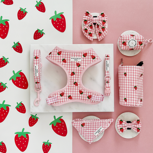 Cocopup London - Strawberry Picnic Pup Lead