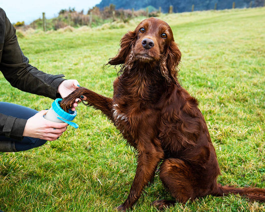 Henry Wag - Henry Wag Pet Paw Cleaner
