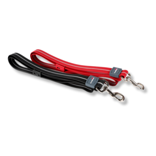 Light Up Dog Lead