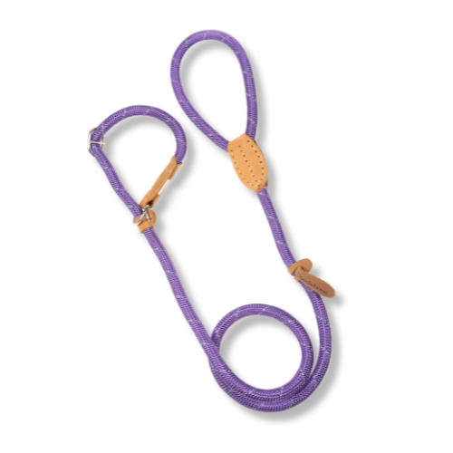 Dog Slip Lead