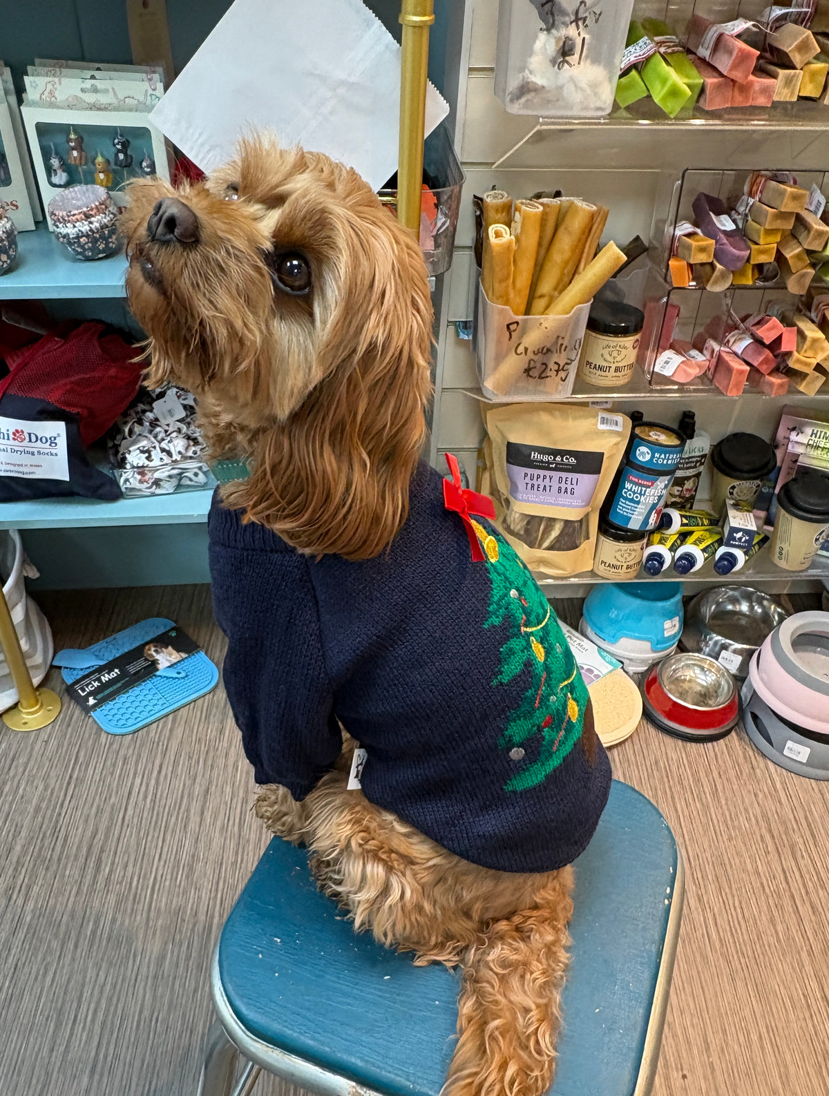Navy jumper with Christmas Tree