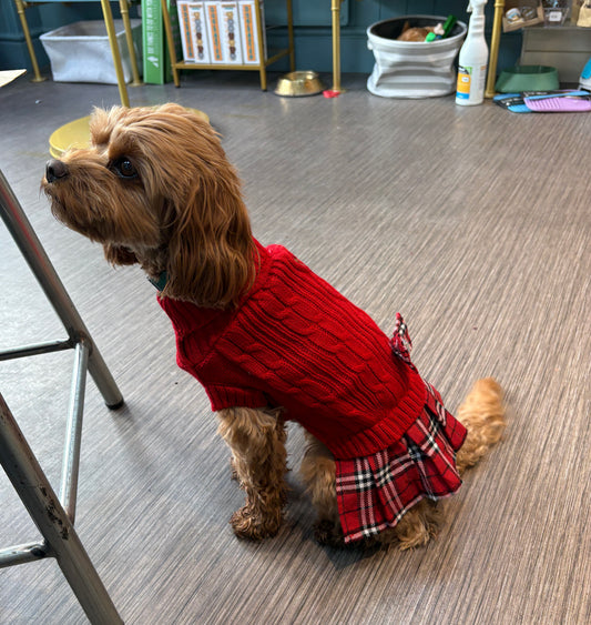Red Tartan Dress Jumper