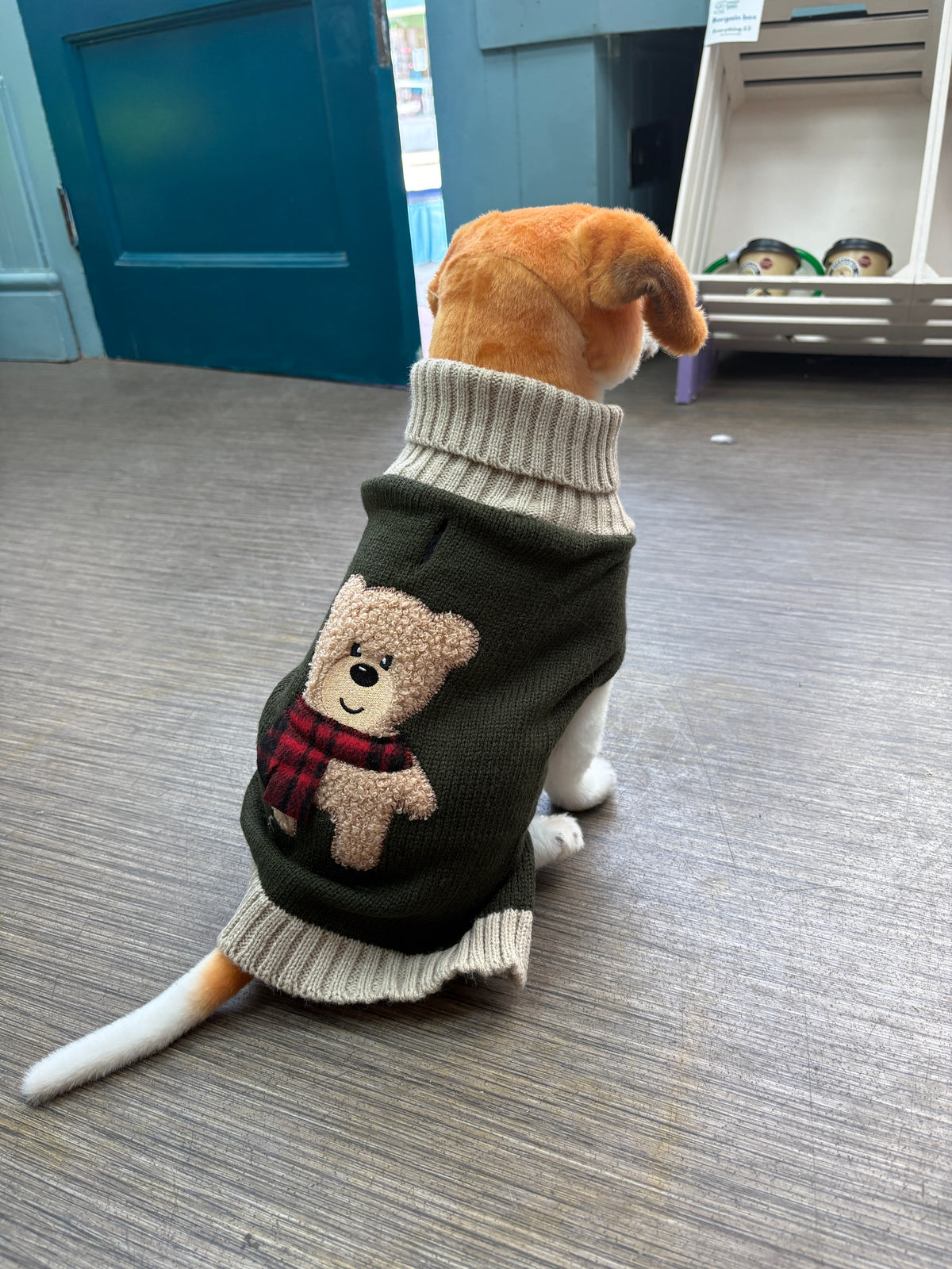 Jumper - teddy bear
