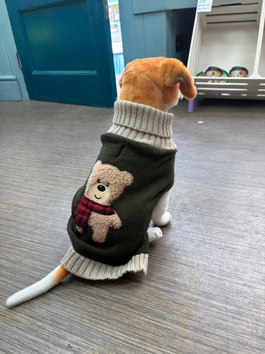 Jumper - teddy bear