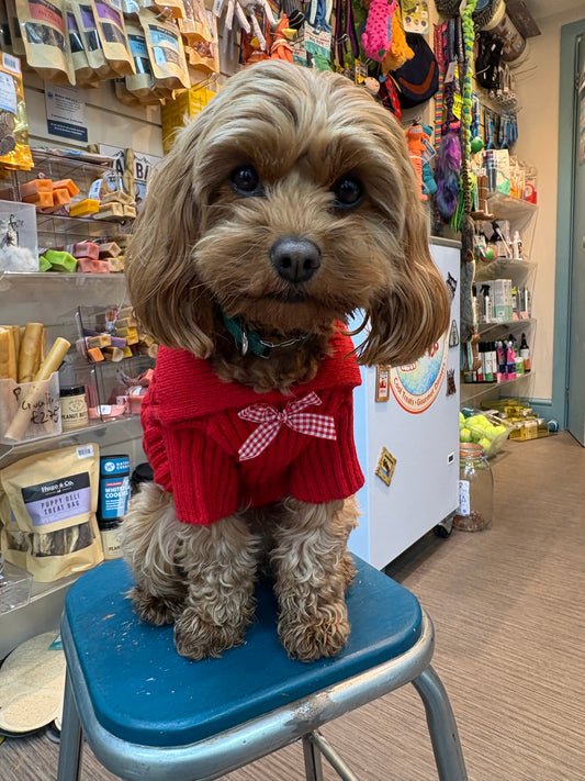Red Cable Knit Jumper with Gingham Bow