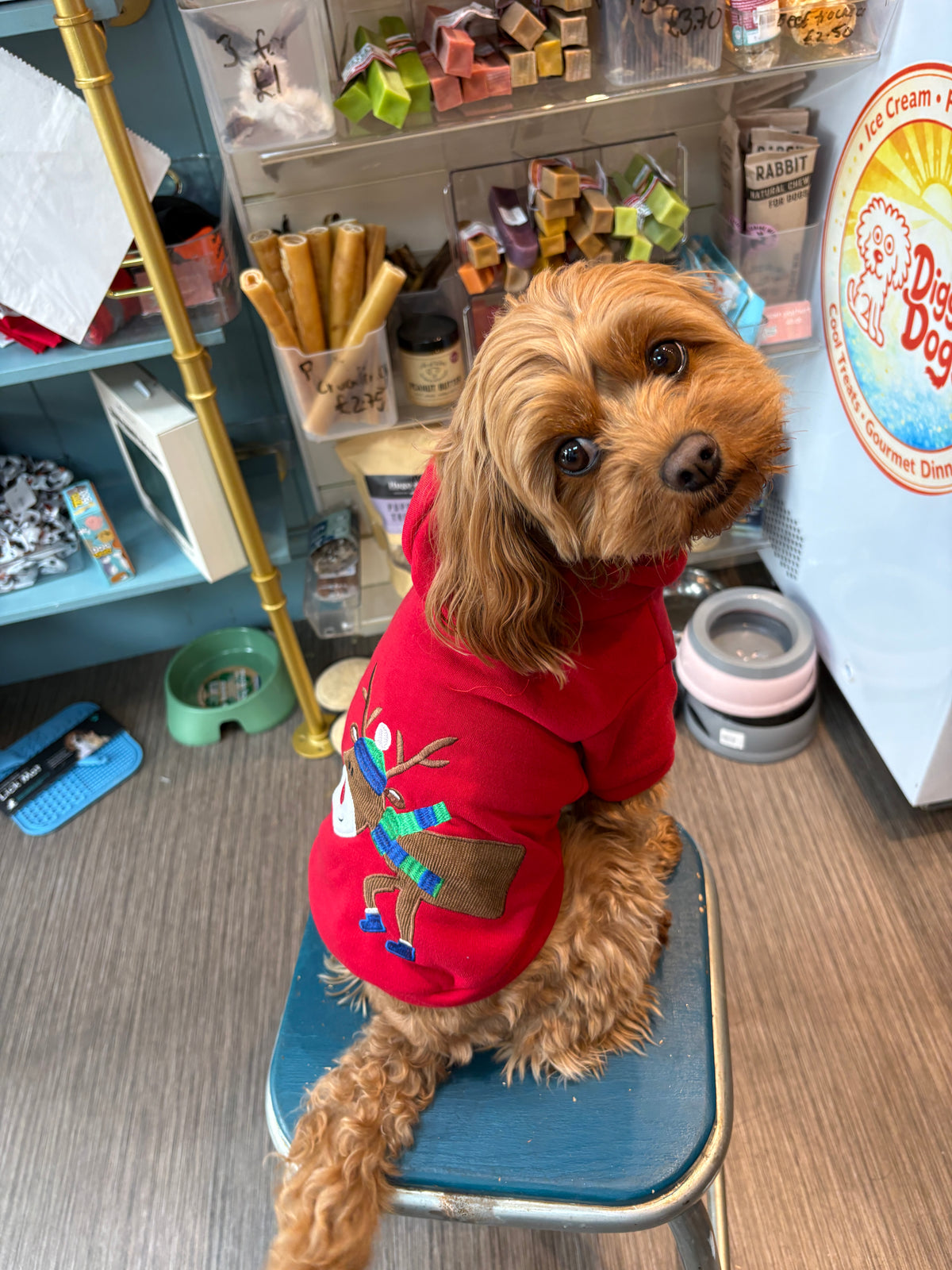 Red Reindeer Hoodie  Christmas Jumper