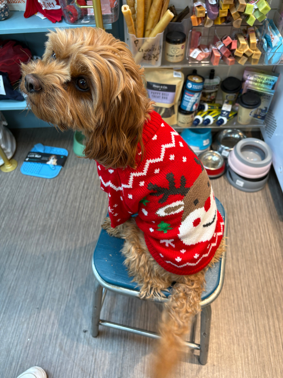 Red Reindeer Face Christmas Jumper