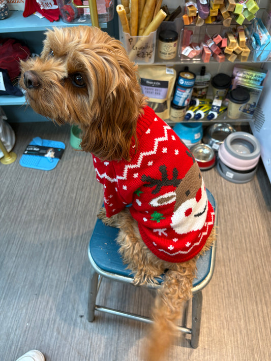 Red Reindeer Face Christmas Jumper