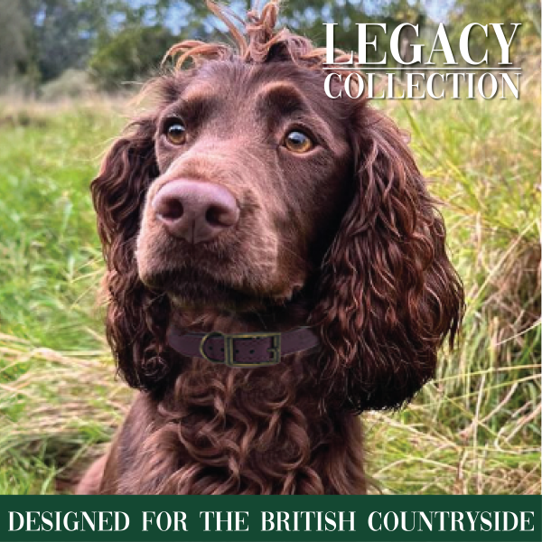 Hugglepets - Legacy Wax Coat