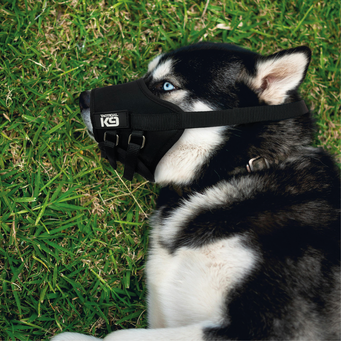 Comfort Muzzle - Tactical K9