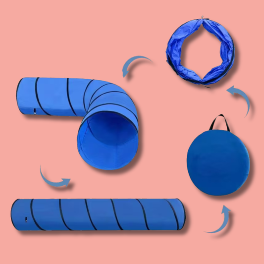 Agility Tunnel