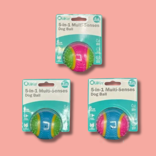 Quiker 5-in-1 Multi-Senses Dog Toy Ball (Random Colour)