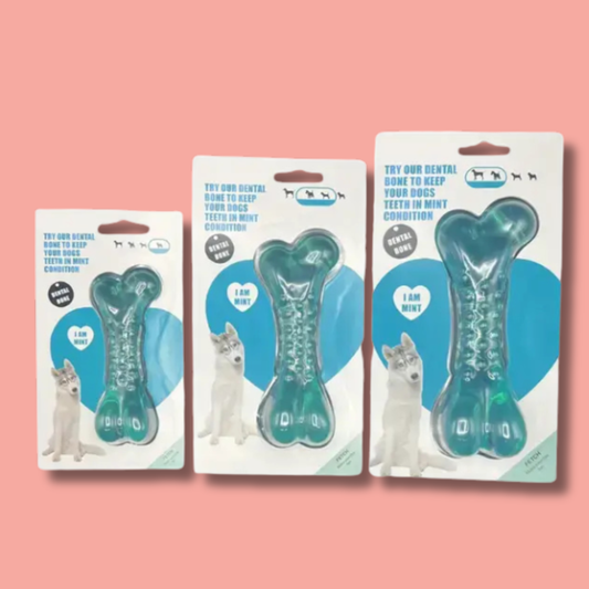 Quiker - Minty TPR 16.3cm Dental Dog Toy (Large)