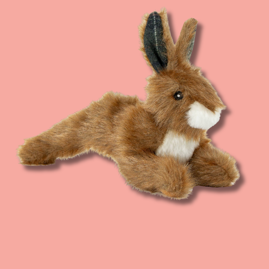 Ancol - Hare Like Dog Toy