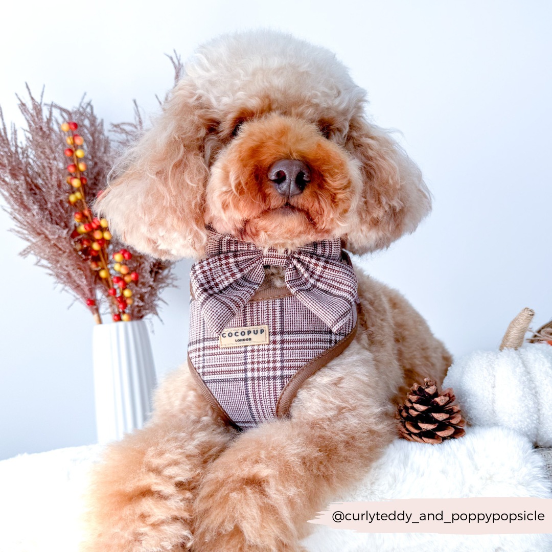 Cocopup London - Pup Plaid Adjustable Neck Harness