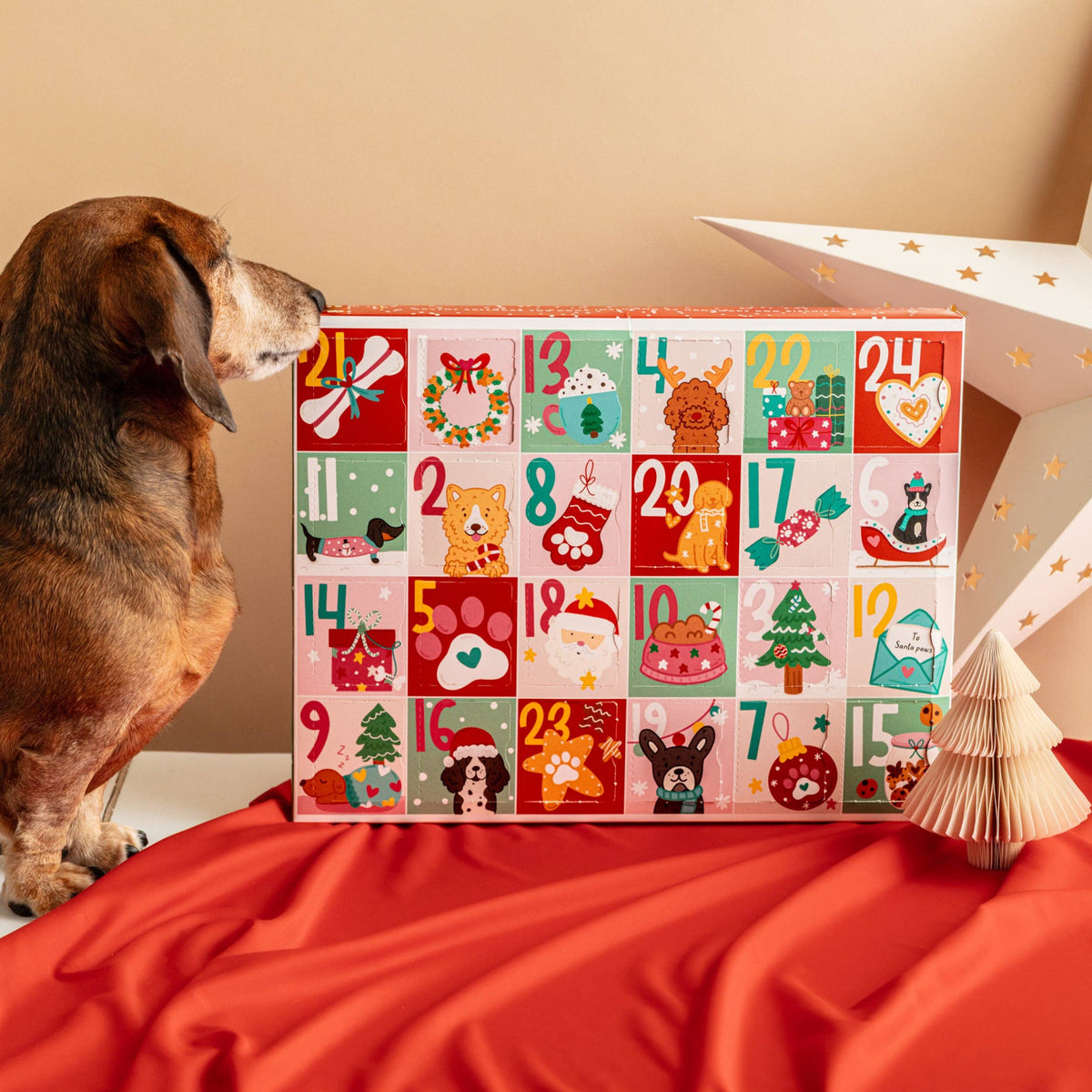Fluff & Crumble - Christmas Advent Calendar for Dogs