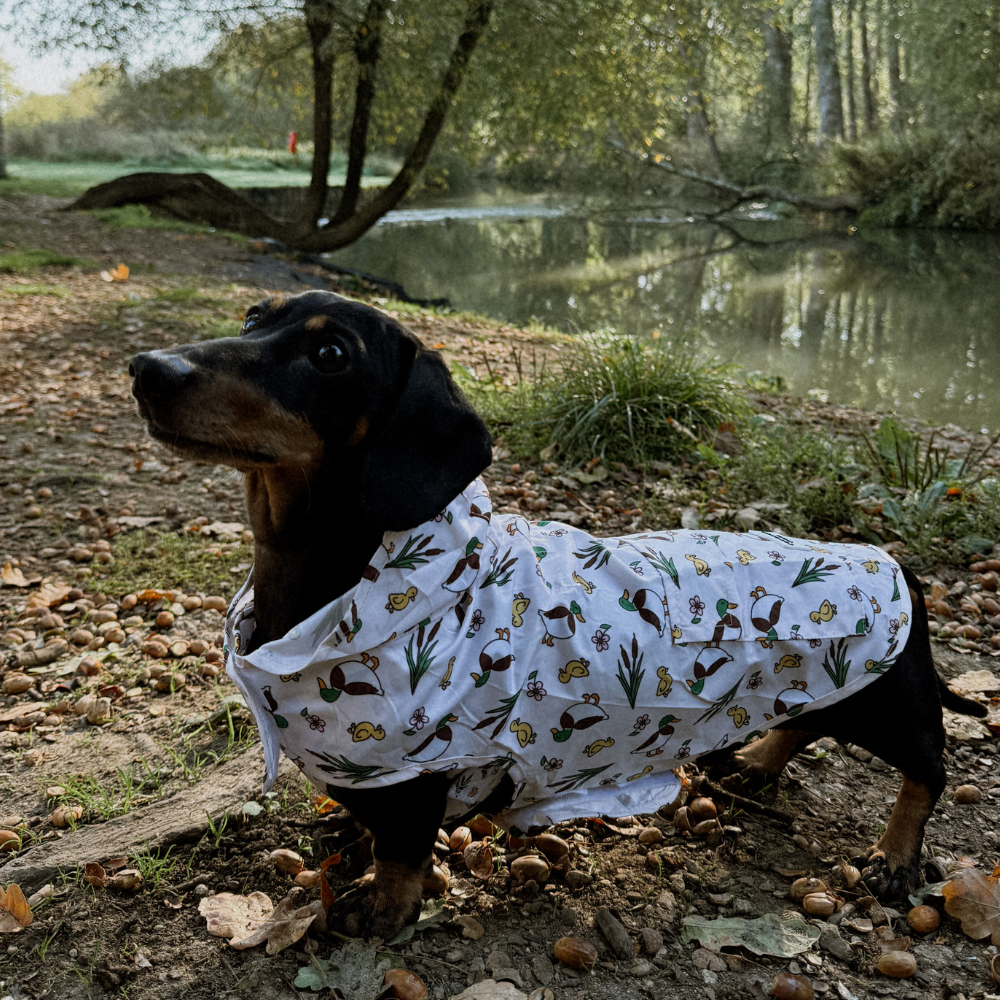 Cocopup London - Dog Raincoat - Puddle Pup