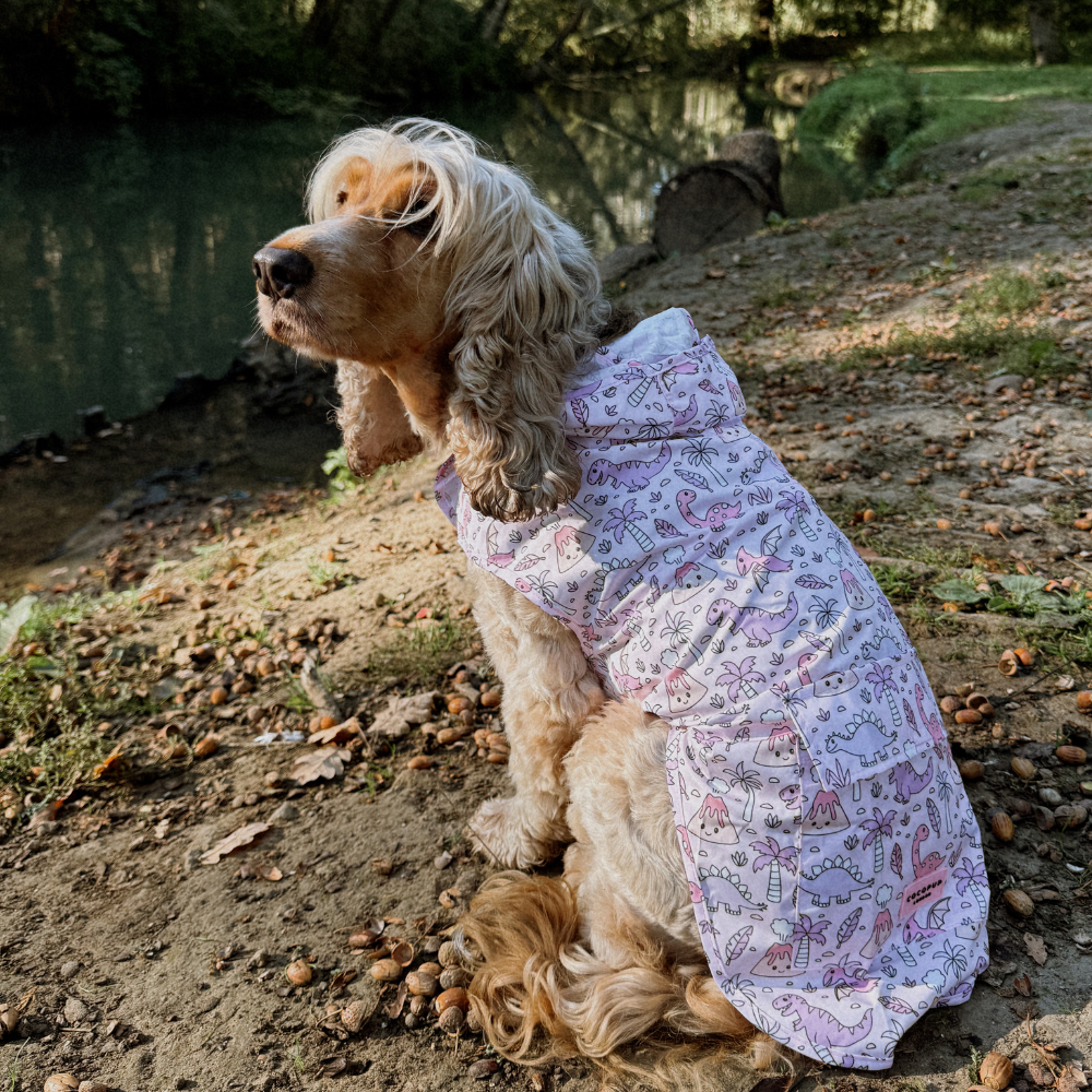 Cocopup London - Dog Raincoat - Princess Dino