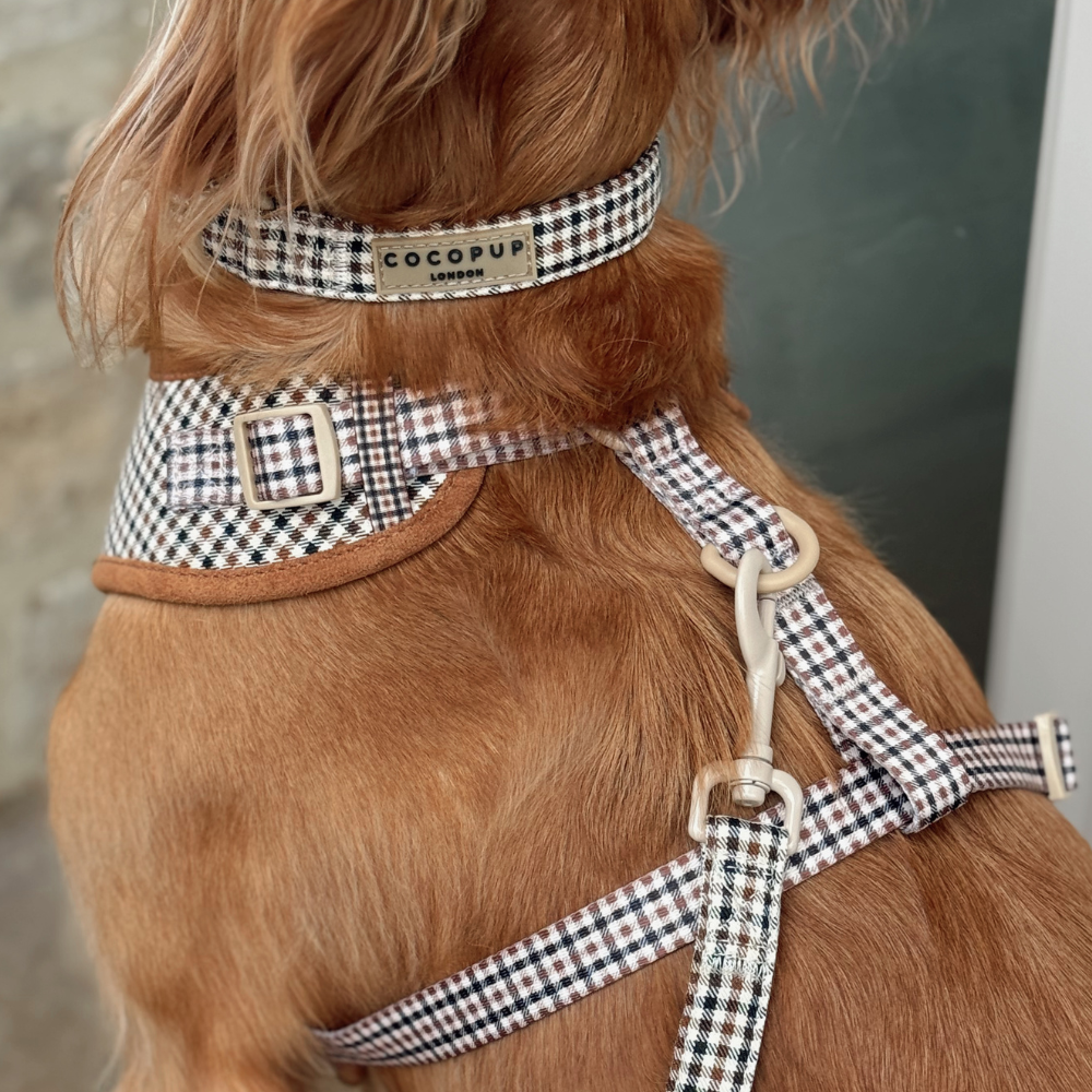 Cocopup London - Heritage Check COLLAR