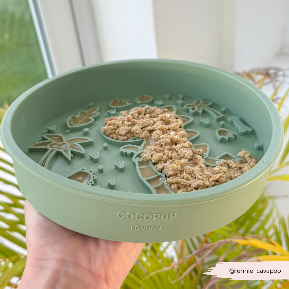 Cocopup London - Silicone Slow Feed Dog Bowl - Dinopaws