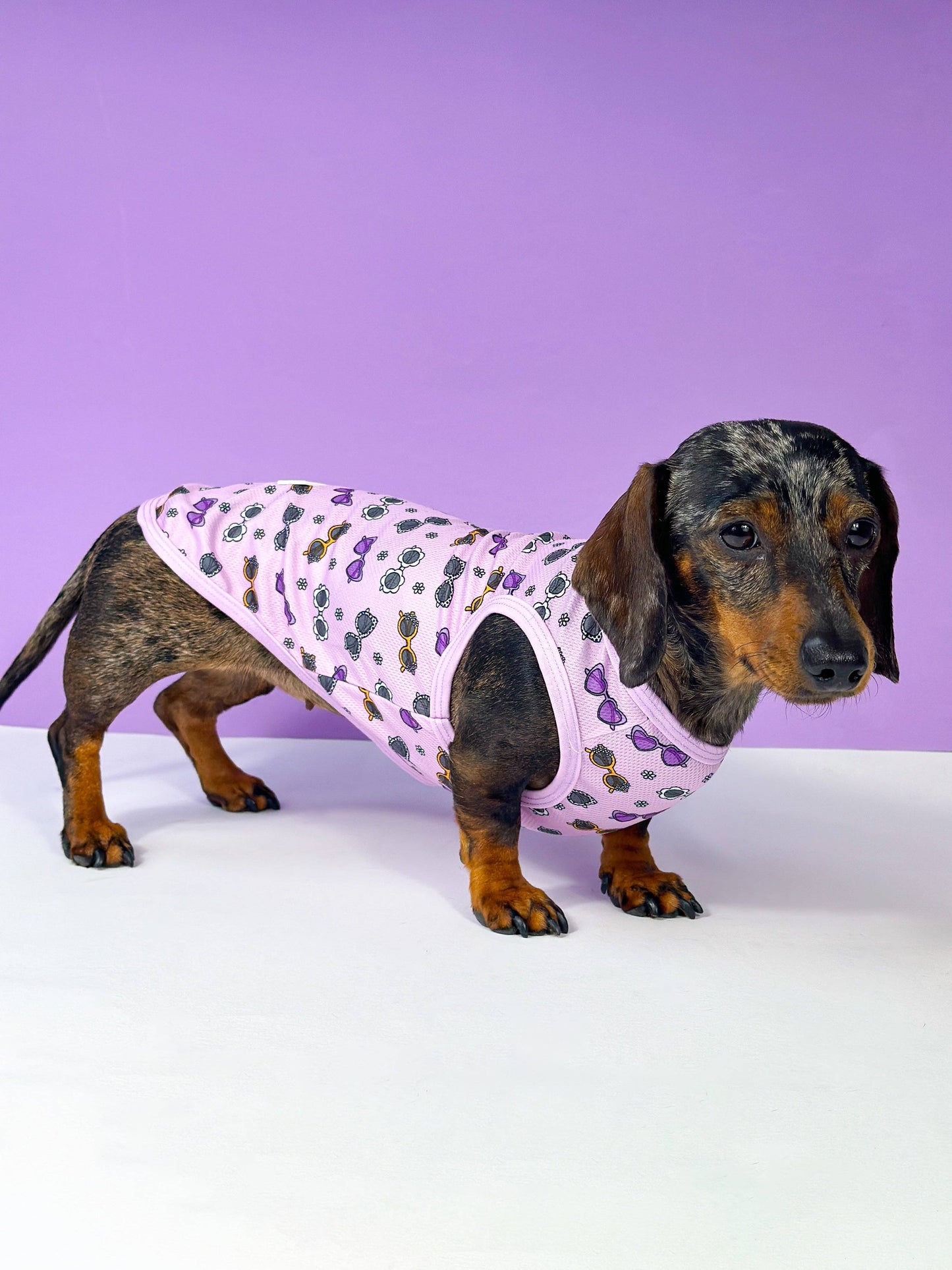 The Paw Print Boutique - The Sassy Sunnies Cooling Vest