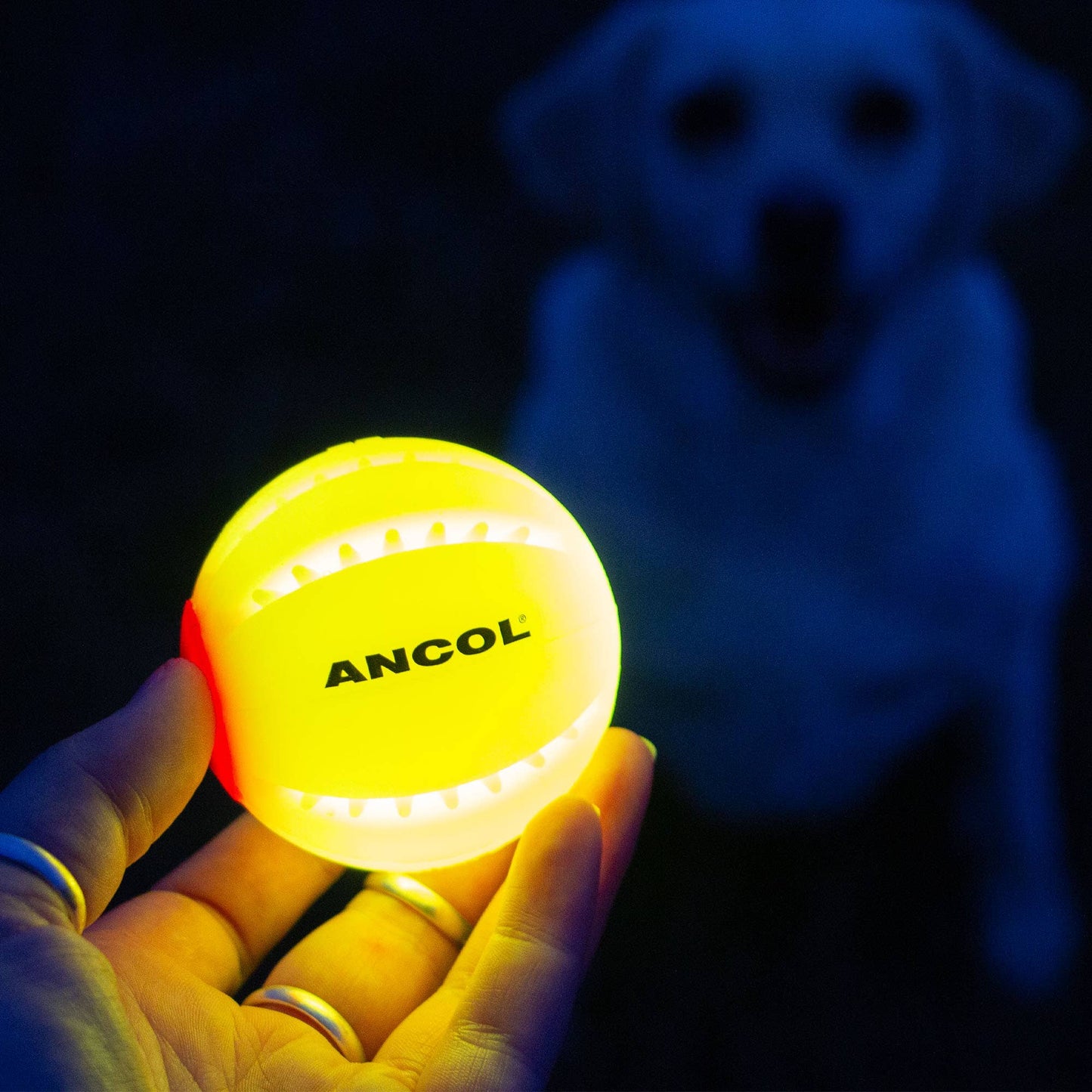 Ancol Pet Products Ltd - Rechargeable LED Dog Ball