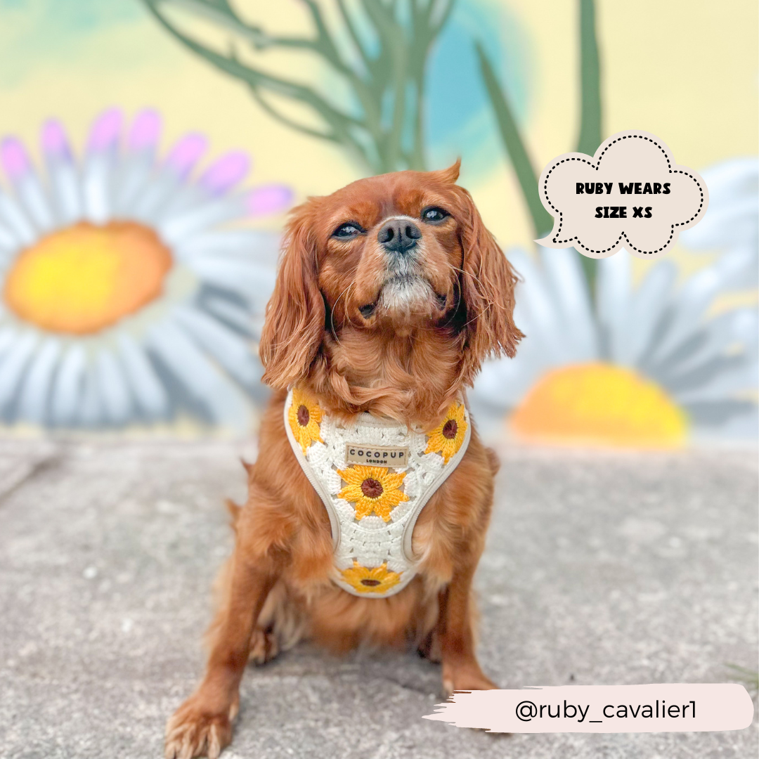 Cocopup London - Sunflower Patch Adjustable Neck Harness