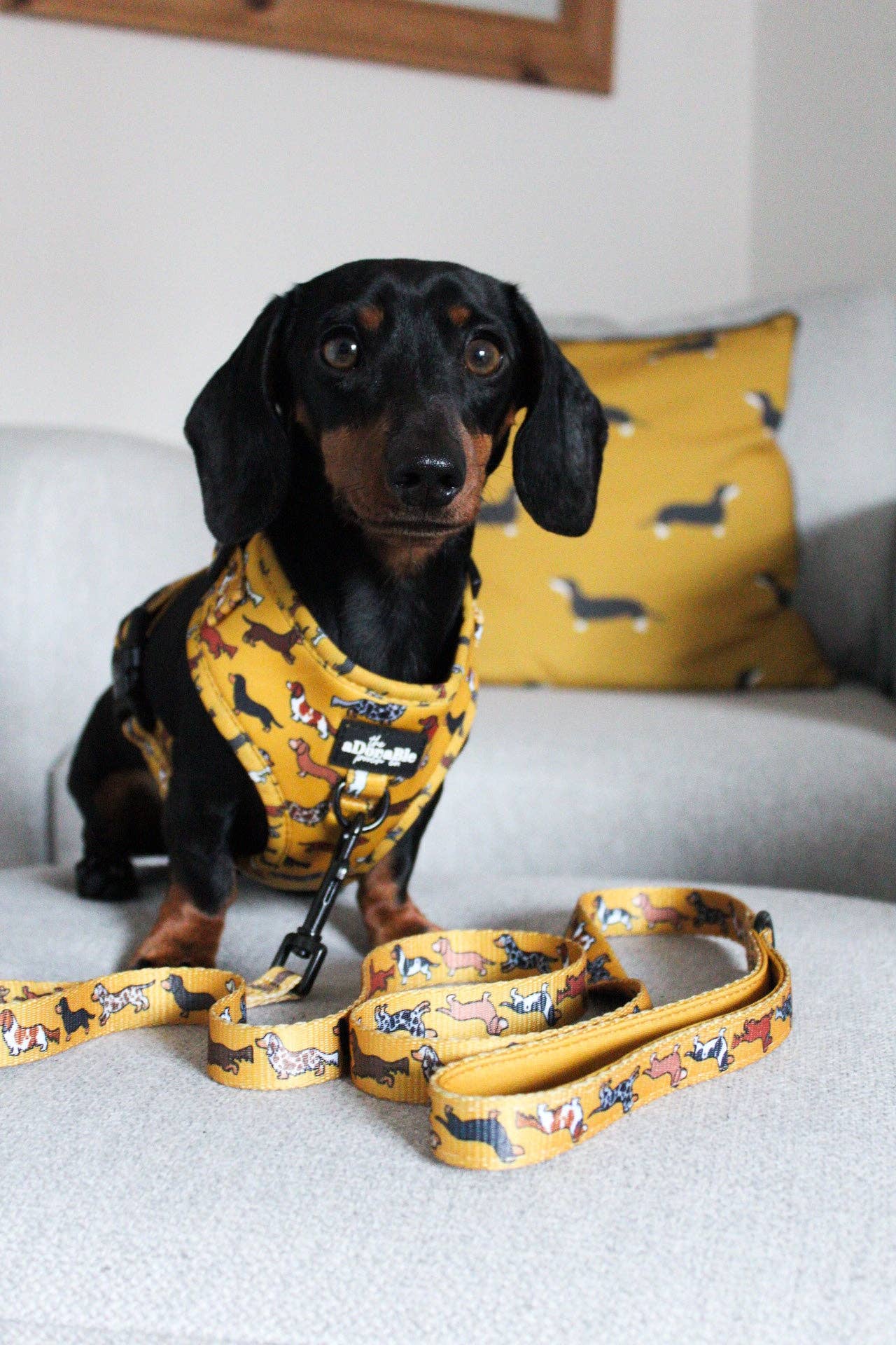 The aDoraBle Pooch Company - Dog Lead - Dashing Dachshunds