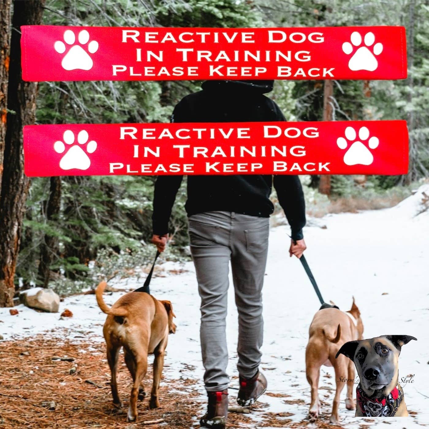 Storms Style - Lead Slips - Reactive, Nervous, Blind, Deaf, Friendly
