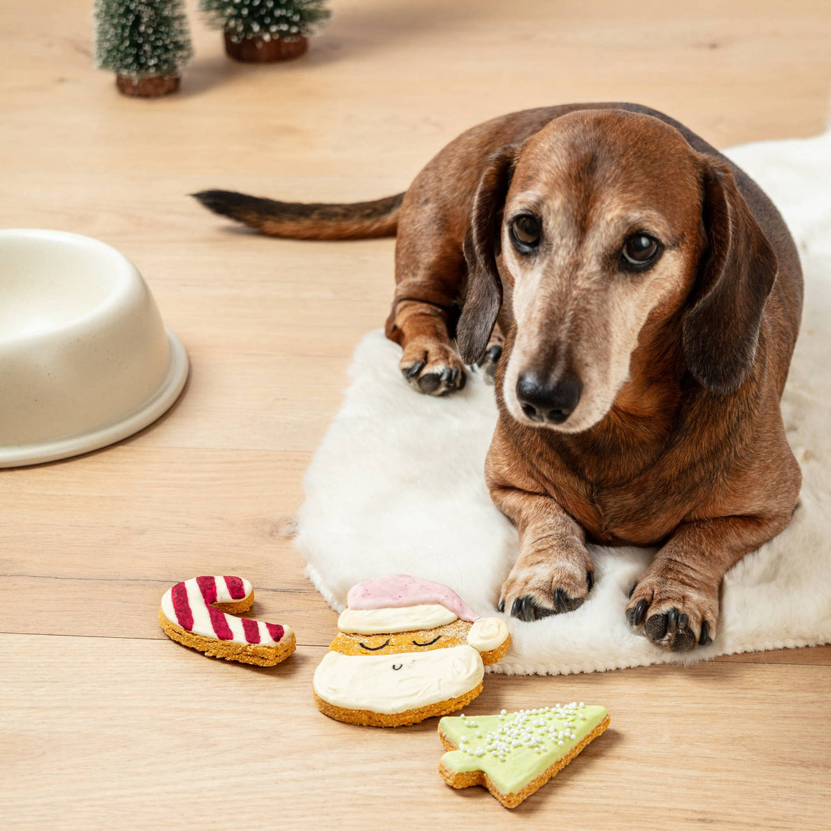 Fluff & Crumble - Christmas Iced Dog Biscuit Trio