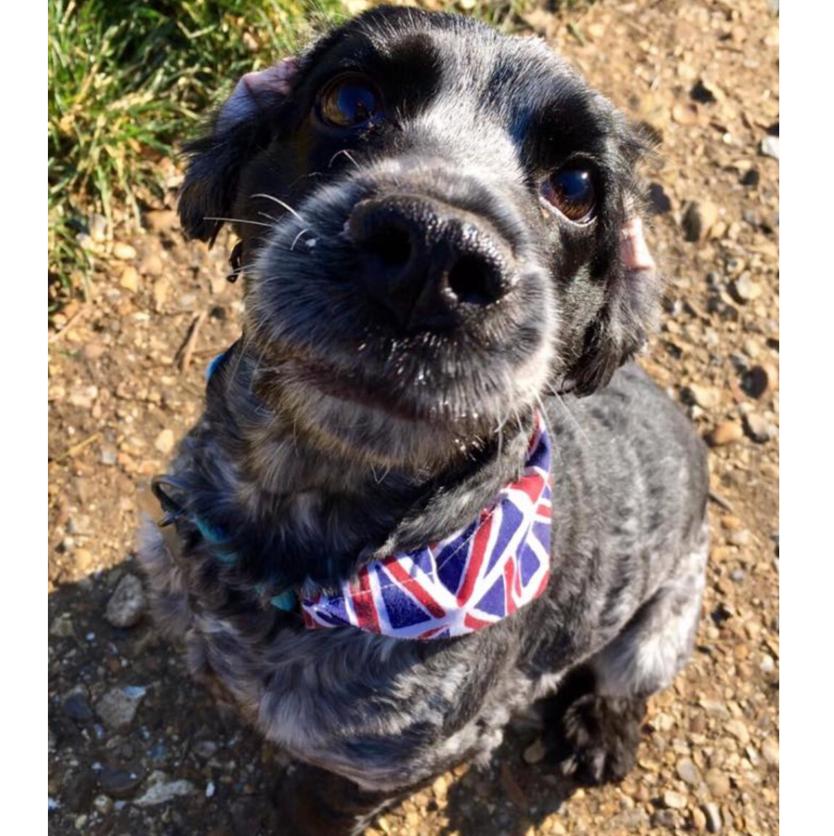 Storms Style - Union Flag Bandanas