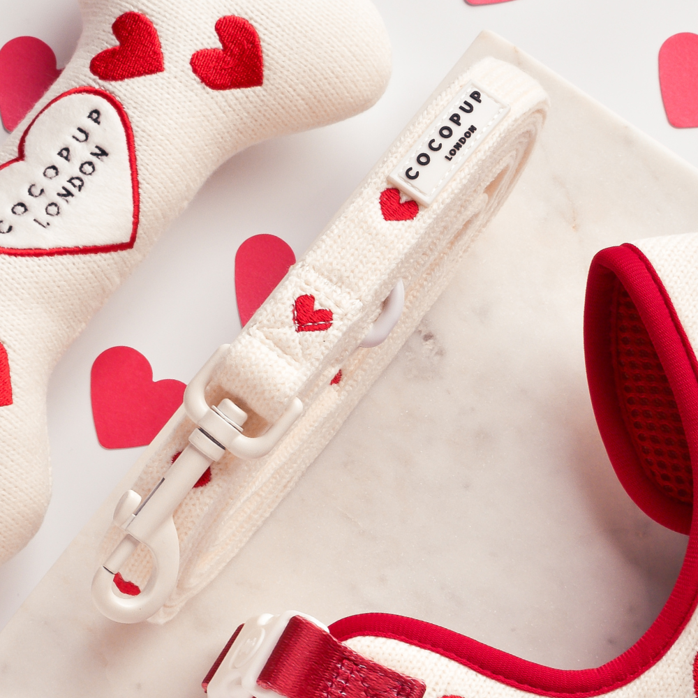 Cocopup London - Hugs & Knitted Lead