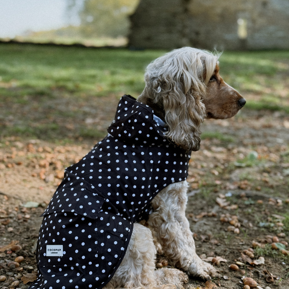 Cocopup London - Dog Raincoat - Black Polka Dot