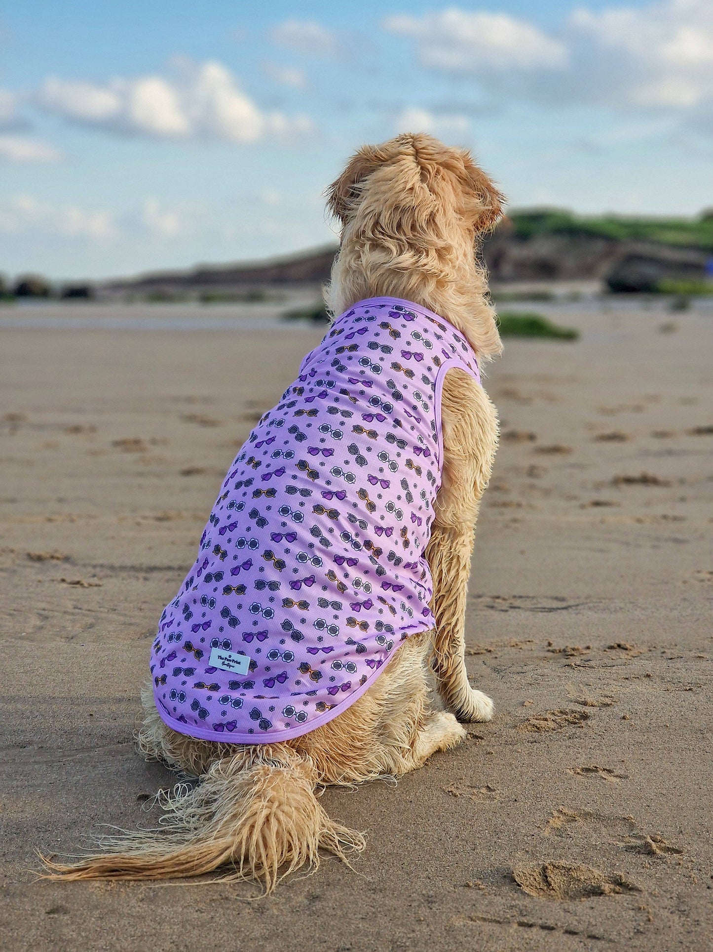 The Paw Print Boutique - The Sassy Sunnies Cooling Vest