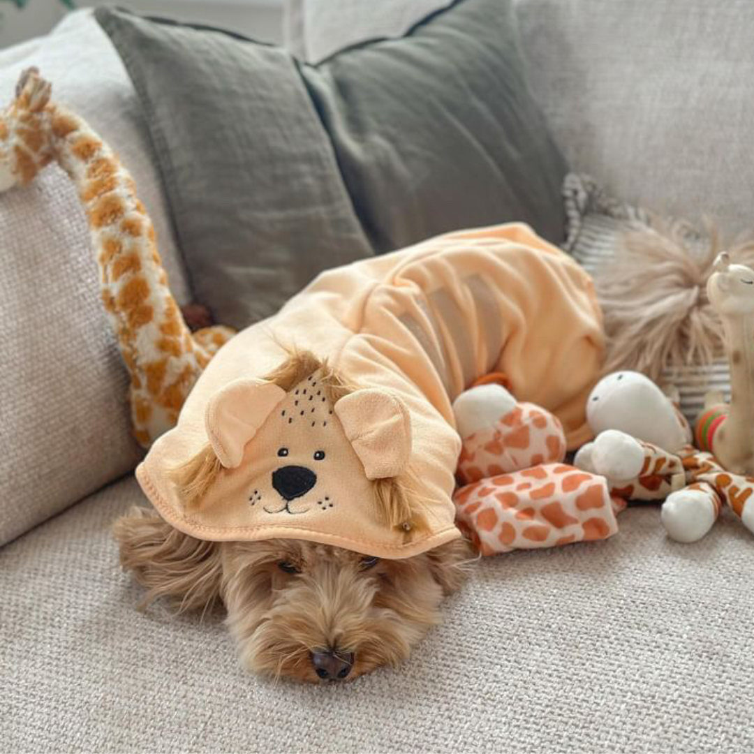 Cocopup London - Roary the Lion Drying Robe