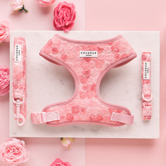 Cocopup London - Peony Pup Lead