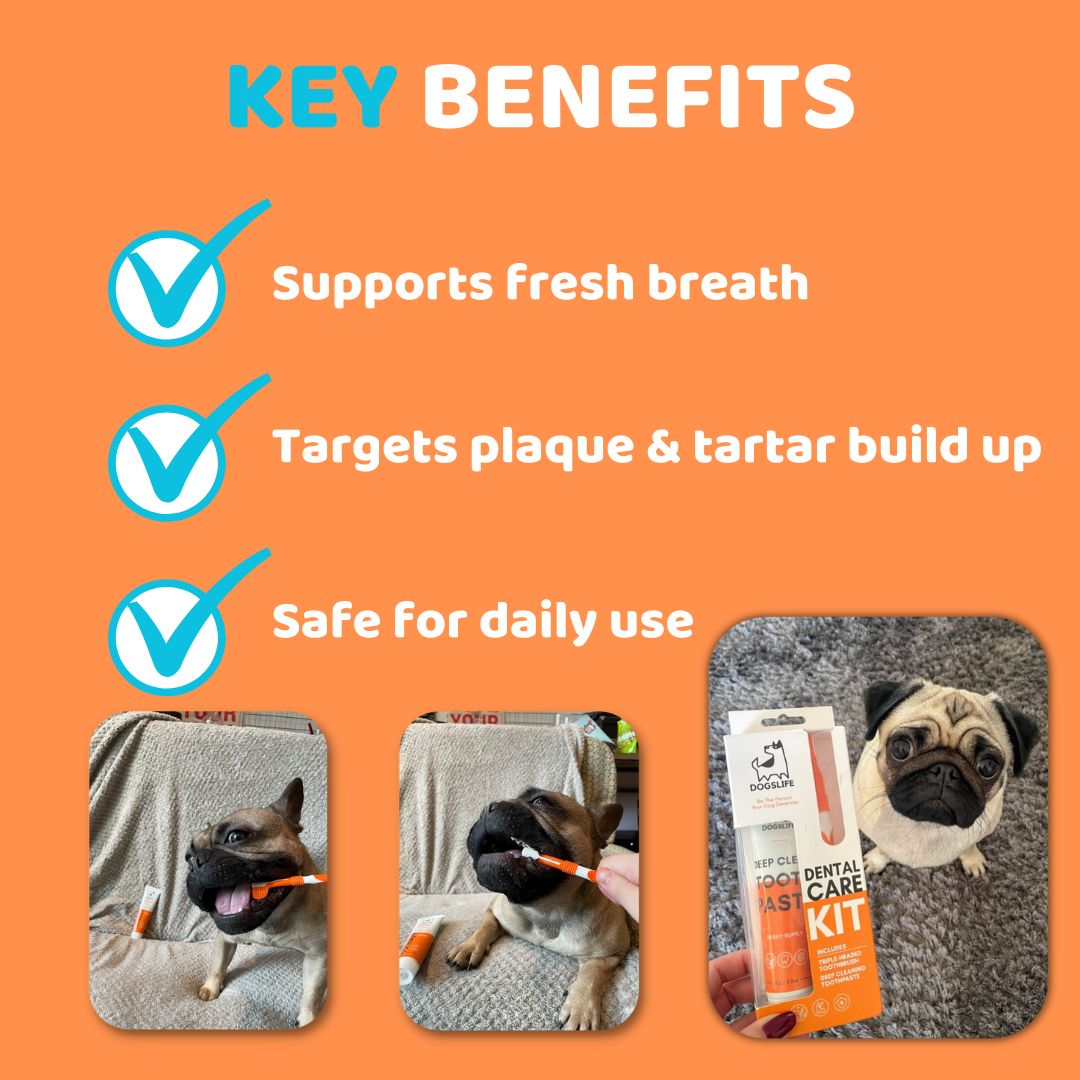 OurPetsLife - Dog Toothpaste and Toothbrush Set